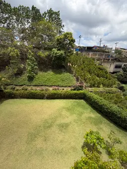 View 16