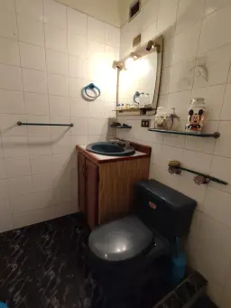 Vista 15