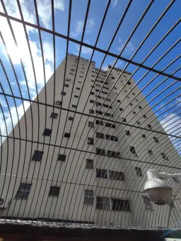Vista 24