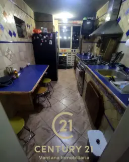 Vista 5