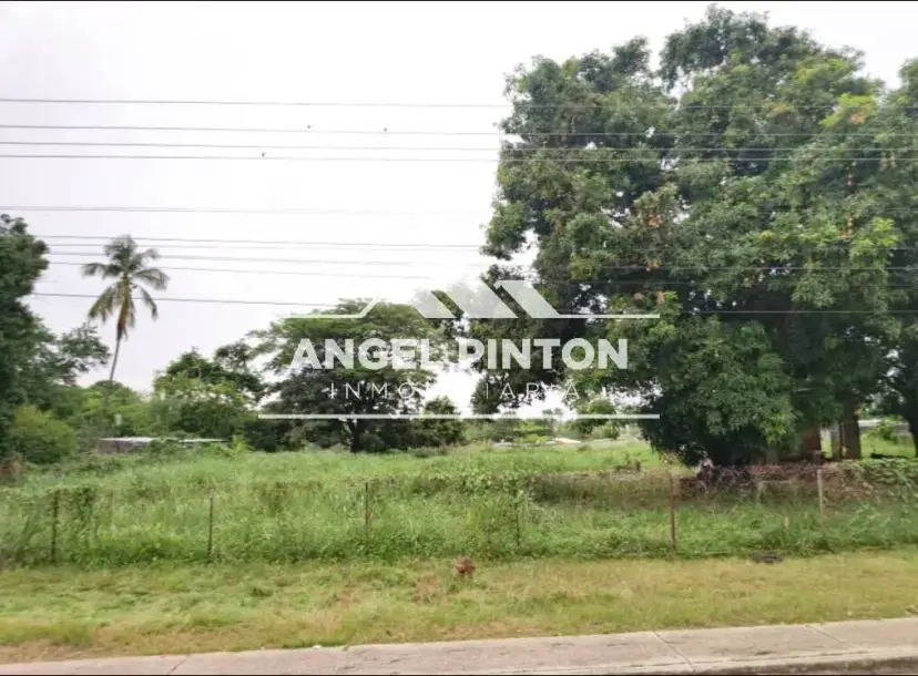 TERRENO CON BIENECHURIA VENTA DURIGUA VIEJA ACARIGUA VENEZUELA API 94786
