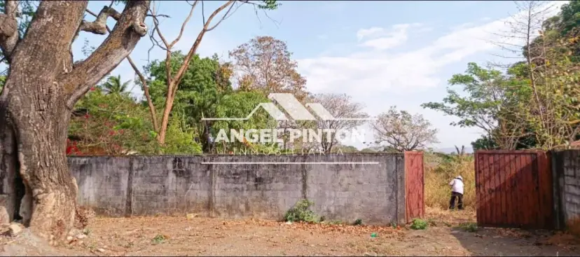 TERRENO VENTA VÍA LOS RIELES ACARIGUA VENEZUELA API 9039