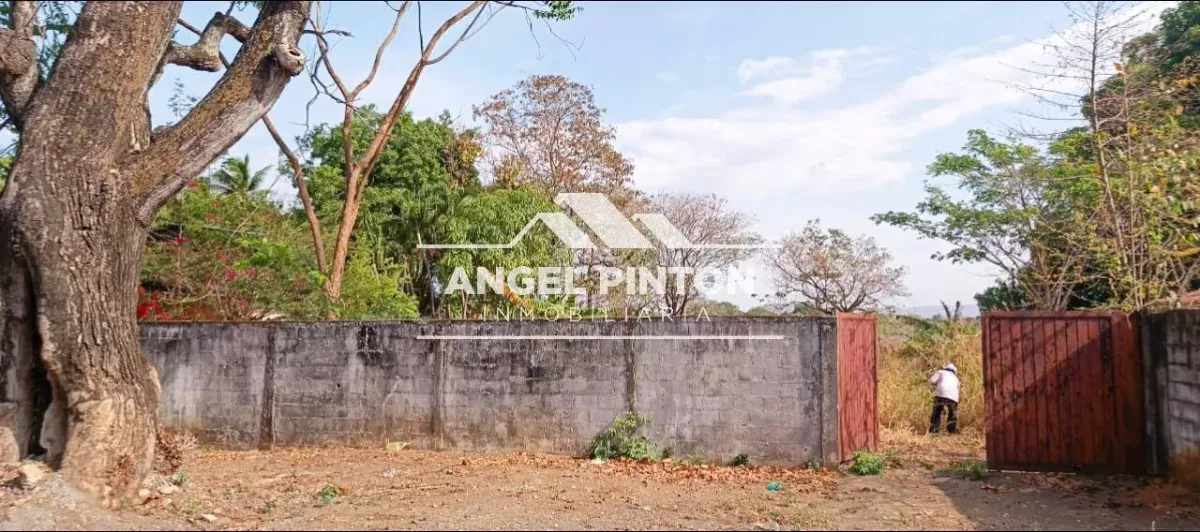TERRENO VENTA VÍA LOS RIELES ACARIGUA VENEZUELA API 9039