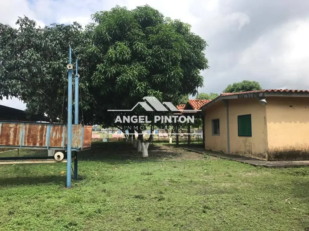 FINCA PORCINA PLANTA DE ALIMENTO FONDO DE COMERCIO VENTA PIRITU API 79891
