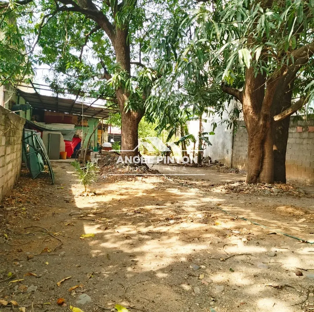 LOCAL COMERCIAL CON TERRENO VENTA CENTRO ACARIGUA API 70137 - 2