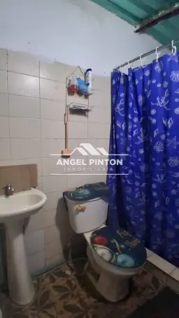 Vista 6