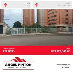 Vista 1
