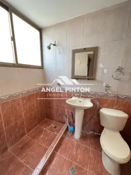 Vista 10