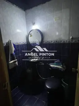 Vista 5