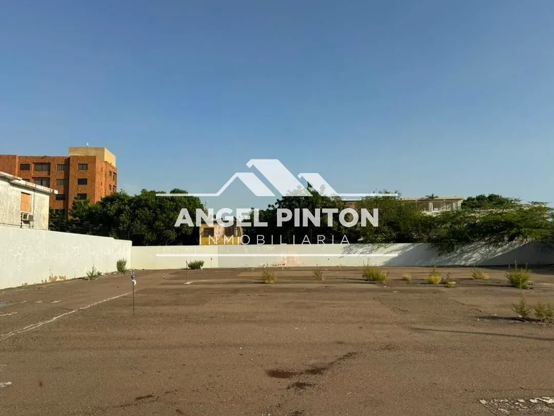 TERRENO EN ALQUILER CALLE 78 DR PORTILLO MARACAIBO VENEZUELA API 9951 - 4