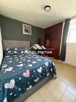 Vista 6
