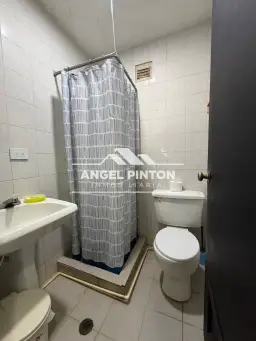 Vista 11