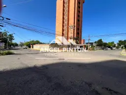 View 14
