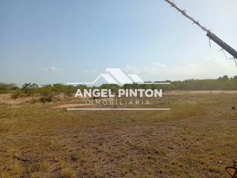 TERRENO VENTA VIA AL AEROPUERTO MARACAIBO VENEZUELA API 9465