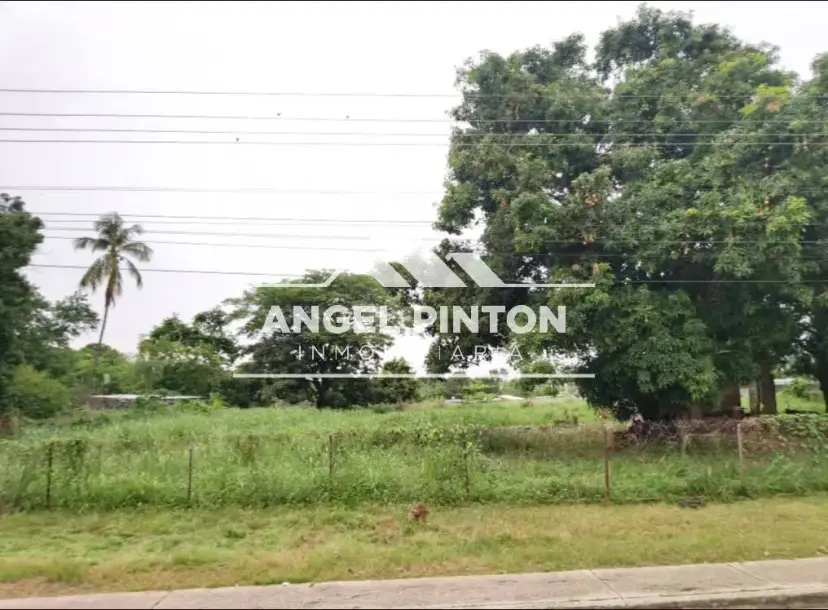 TERRENO CON BIENECHURIA VENTA DURIGUA VIEJA ACARIGUA VENEZUELA API 94786