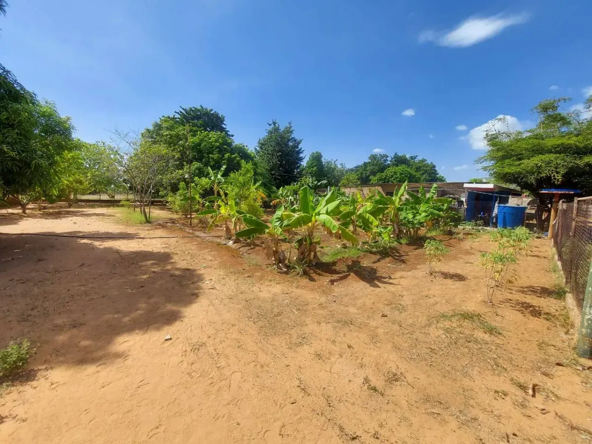 GRANJA EN VENTA KM15 VIA PERIJÁ,SECTOR MANANTIAL SAN FRANCISCO, VENEZUELA API 96531