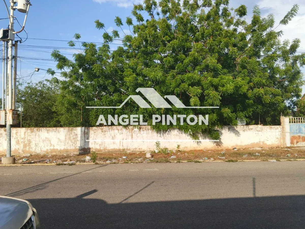 TERRENO VENTA CALLE FALCÓN MARACAIBO VENEZUELA API 9709