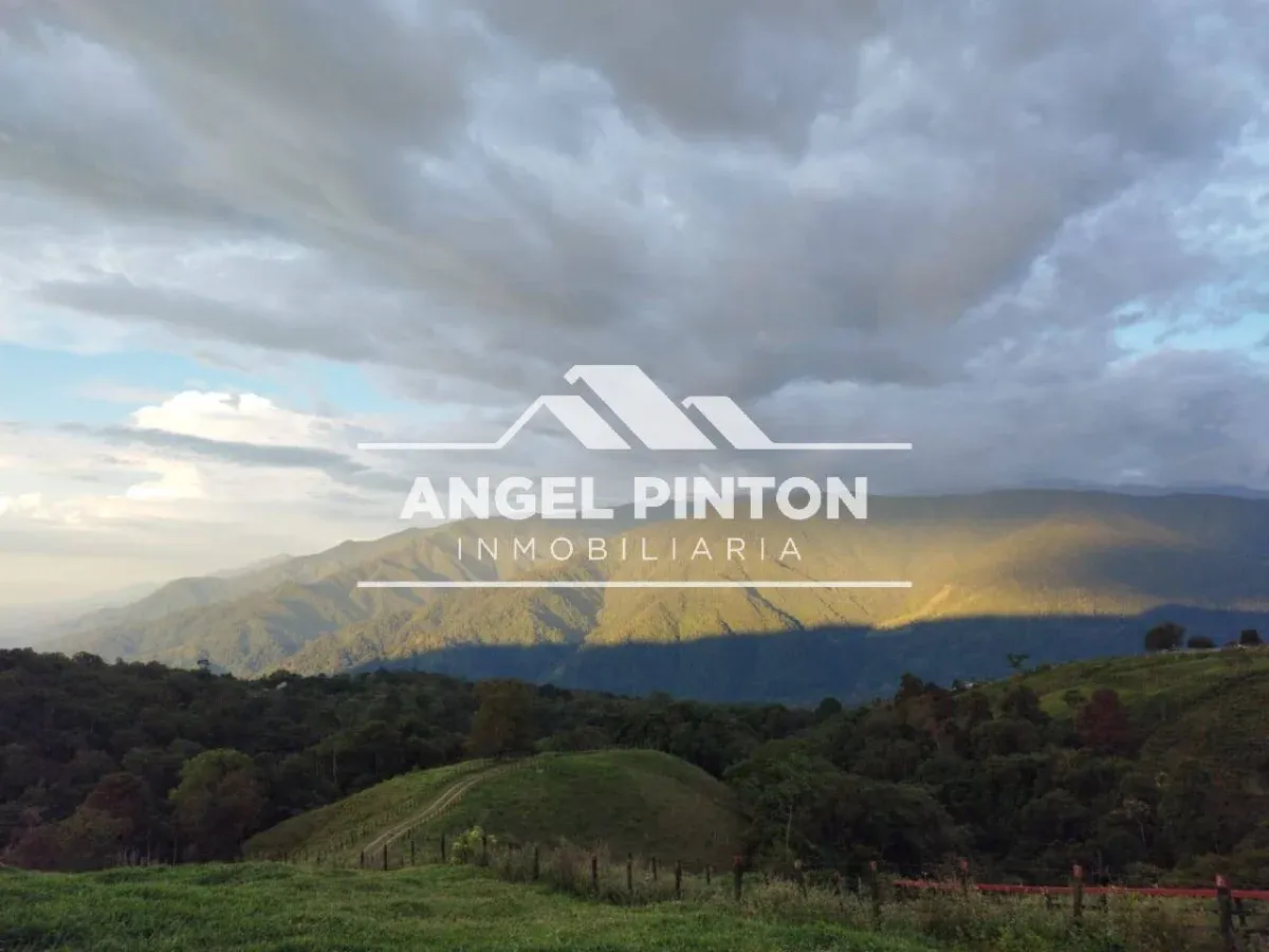 FINCA VENTA LA AZULITA ESTADO MERIDA VENEZUELA API 9976 - 2