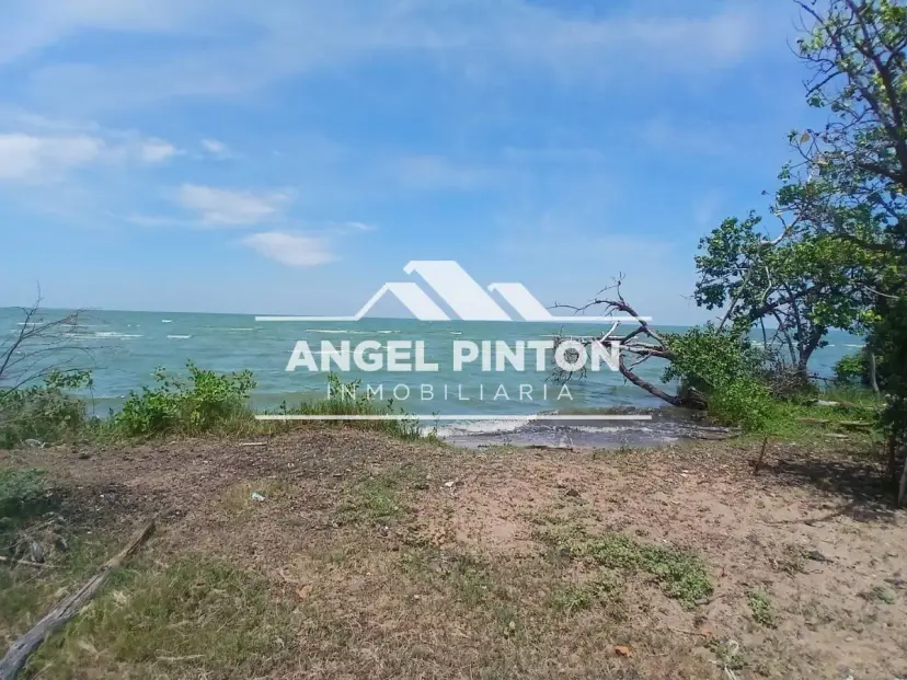 TERRENO CON CASA VENTA AV PRINICIPAL SANTA RITA VENZUELA API 10099