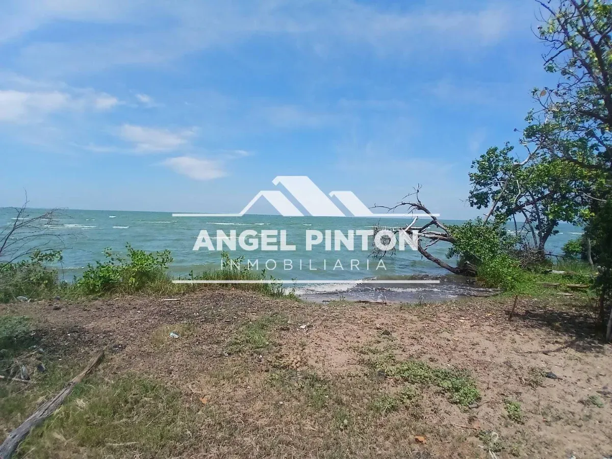 TERRENO CON CASA VENTA AV PRINICIPAL SANTA RITA VENZUELA API 10099