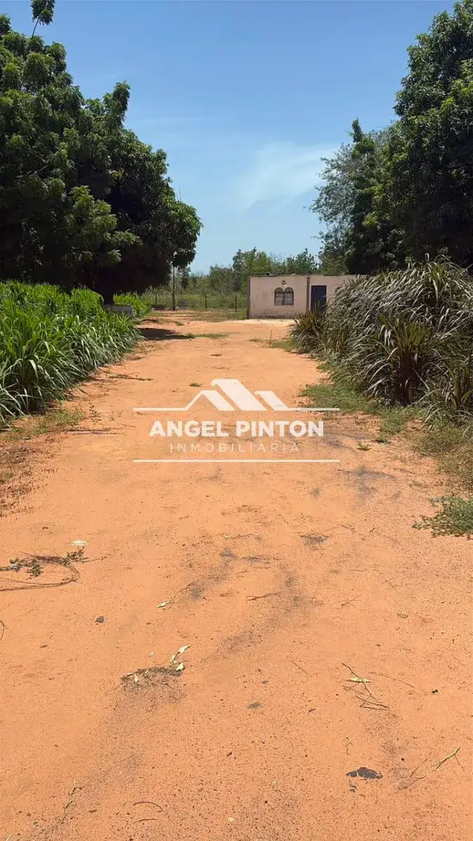 TERRENO VENTA VIA A PALITO BLANCO MARACAIBO VENEZUELA API 10160