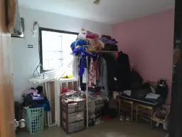 Vista 5