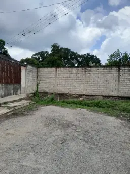 Vista 12