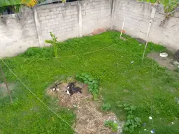 Vista 16
