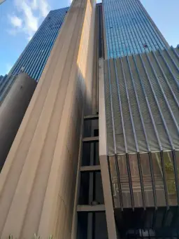 Vista 1