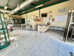 Vista 11
