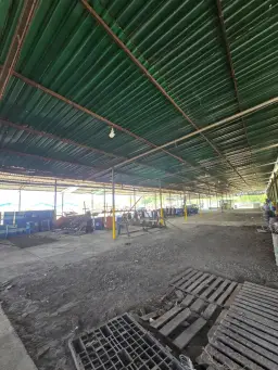 Vista 1