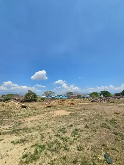 Vista 5