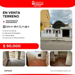 Vista 1