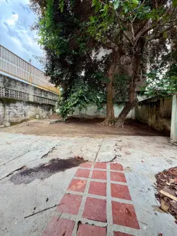 Vista 5