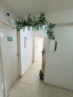 Vista 9