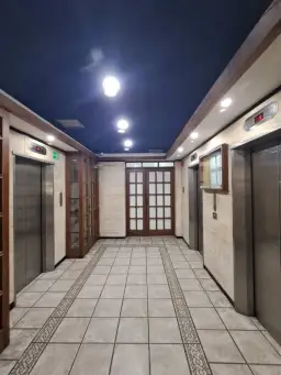 Vista 5