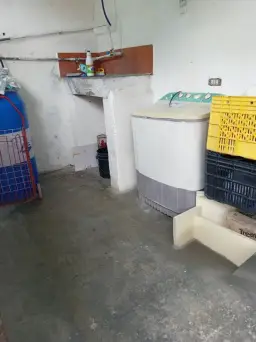 Vista 15