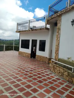 View 4