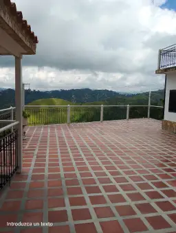 View 5