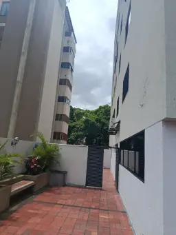 Vista 1