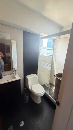 Vista 3
