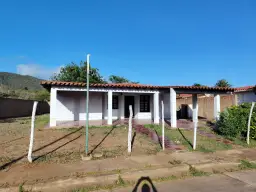 Vista 1