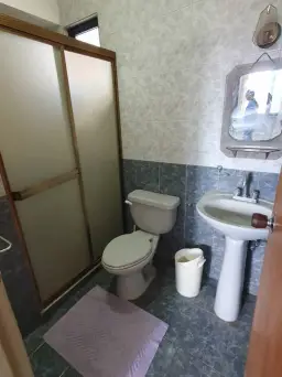 Vista 4