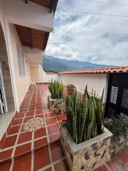 Vista 1