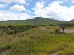 View 4