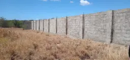 View 11