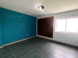 Vista 14