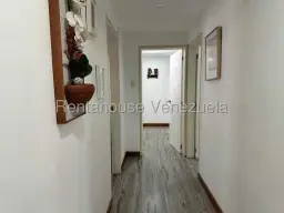 Vista 13