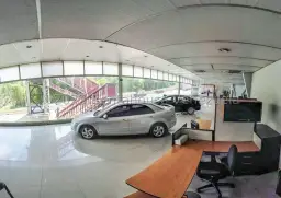 Vista 5