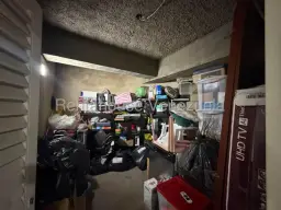 Vista 17